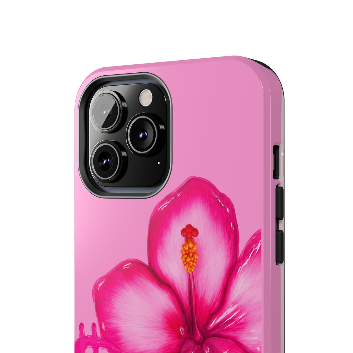Hibisca